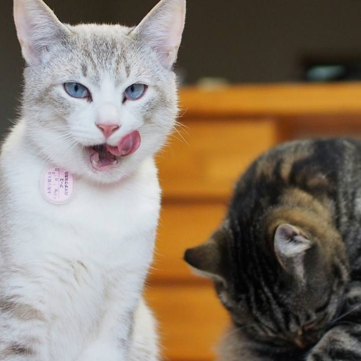 8a3f0659 46e3 4769 ba61 6c0327f0c913