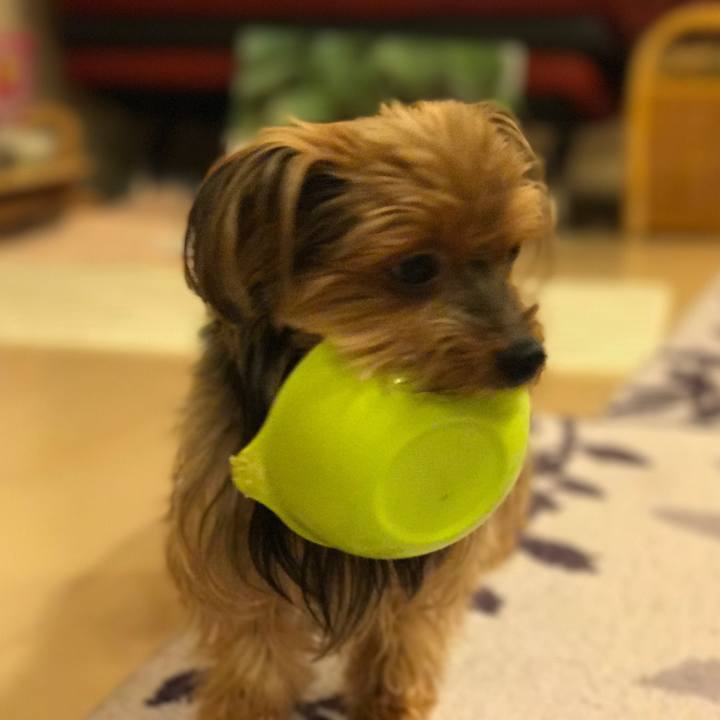 8a3f0e3e 729a 4e0a 8729 728fdd92f6c4