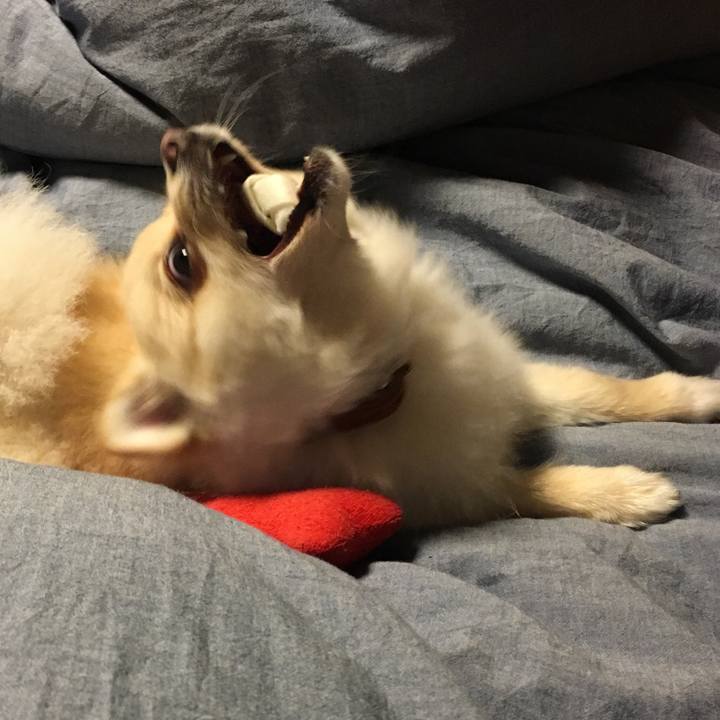 8a3f238d a410 4992 b672 1aceaa970268