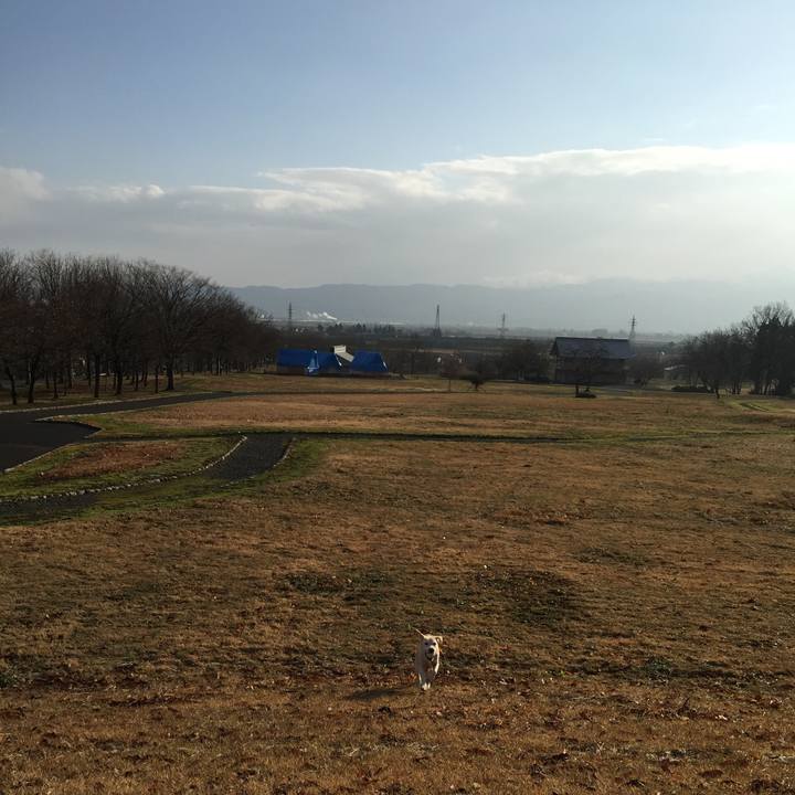 8a3f681c 7ca8 4fd5 ac98 1bbc55f2e4f6