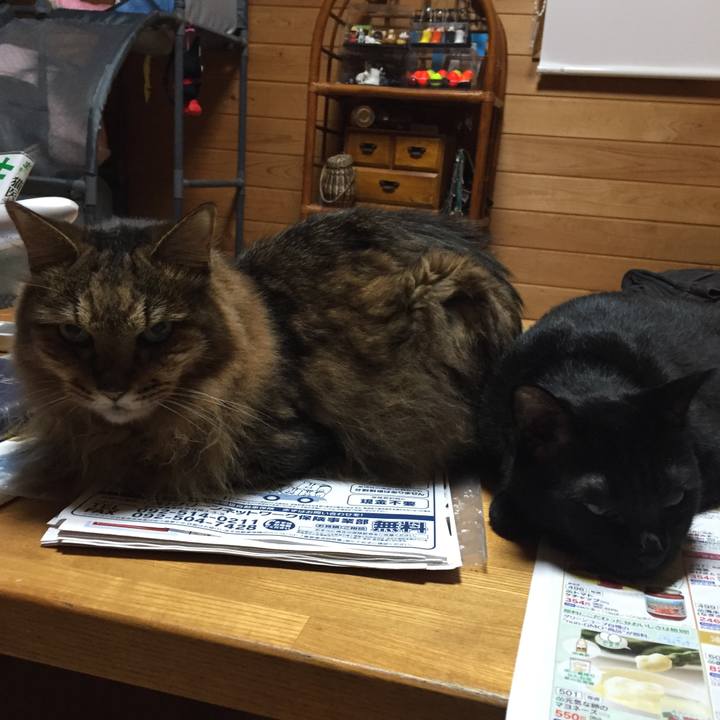 8a3ff329 1351 49c0 a3db 3b03c367d7ef