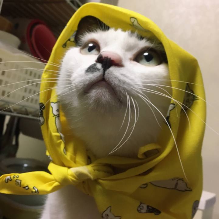 8a4003da f17f 4290 89e4 22ff3cf5f7d1