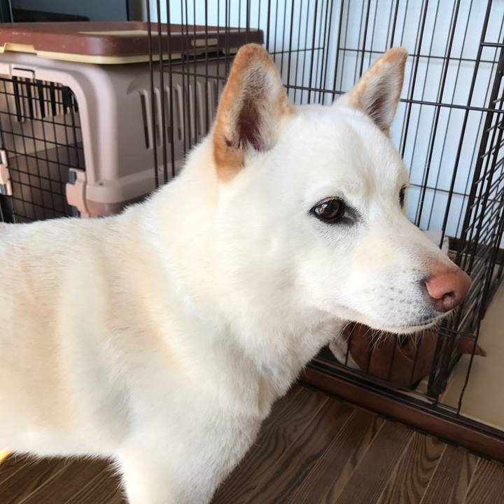 8a402ba1 a686 4fc8 a462 e44472130582