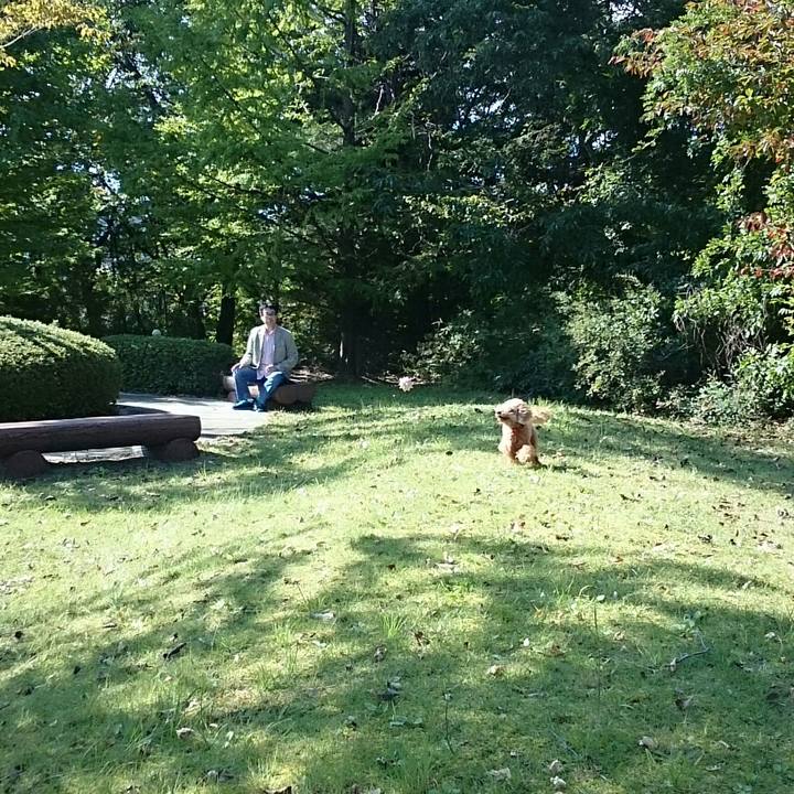 8a40559e f5a9 4122 b930 8ac5e9ab077f