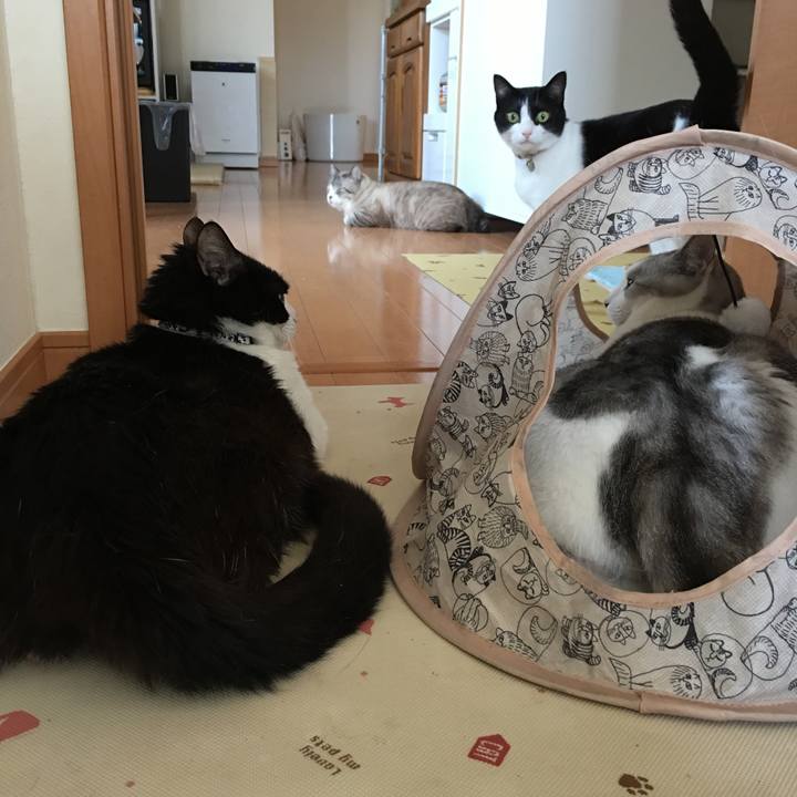 8a4067b7 8c8c 4e8f a334 a0b747400f69