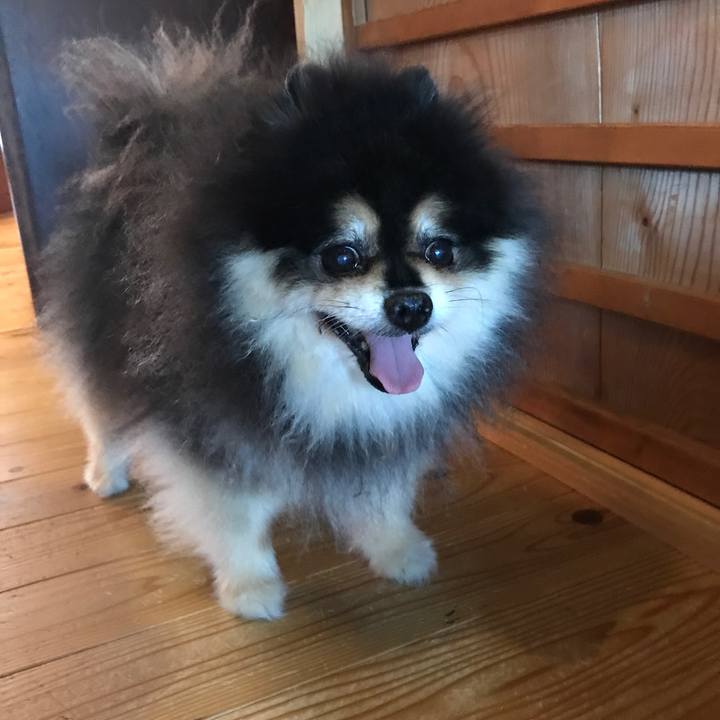 8a406862 5f48 42a8 a2cd d2363e030e75