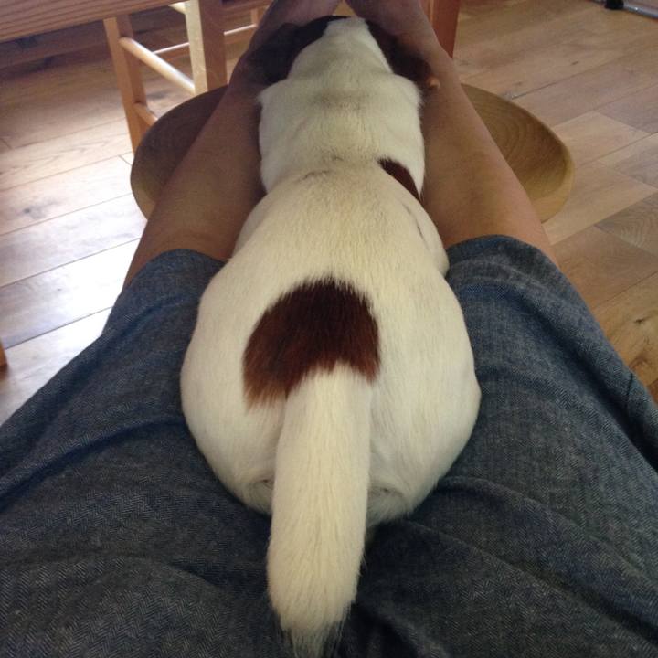 8a419485 0f84 47f0 970e ddea0dfb1c78