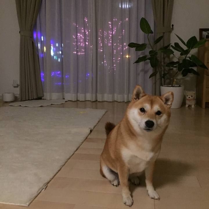 8a42006d 365c 4ec7 a1ab bb53989ba842