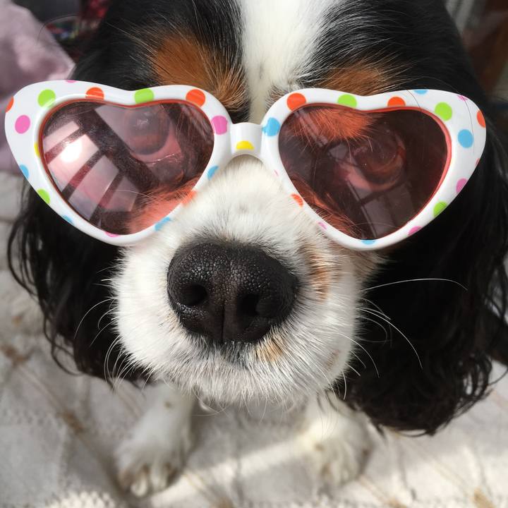 8a42701f 0214 4d96 950e 25ec844e5e16