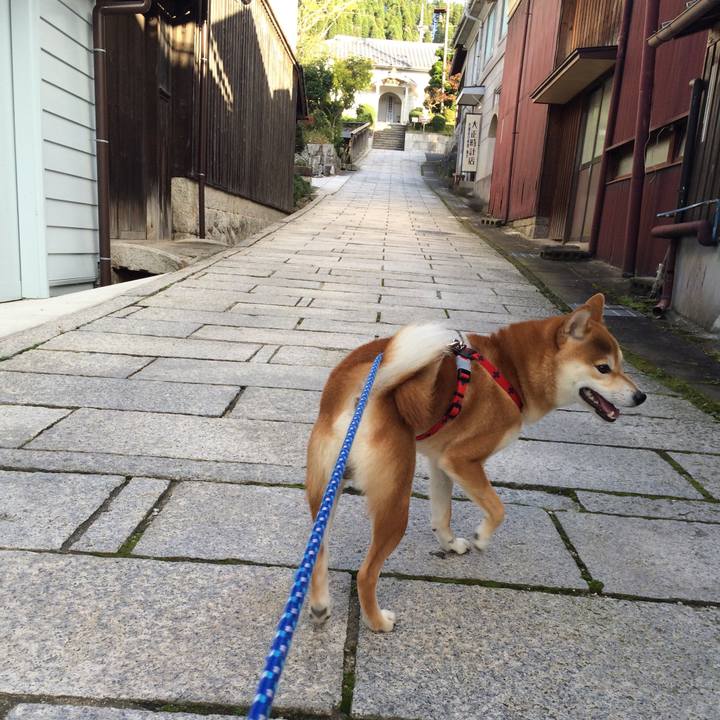 8a42b7ae 61ce 4dbc bb91 d796e6632a25