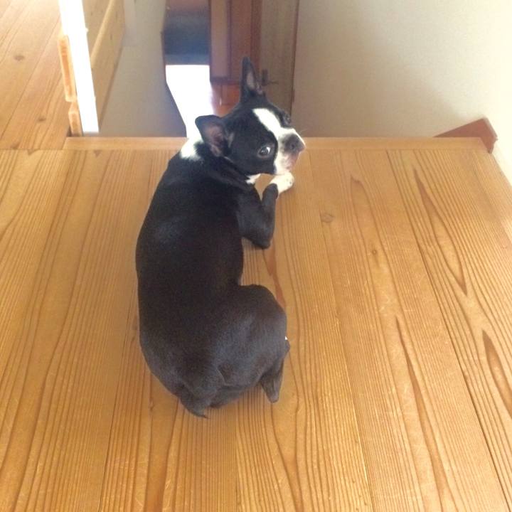 8a42c0fd d019 4865 bfa5 3a3babf75ae5