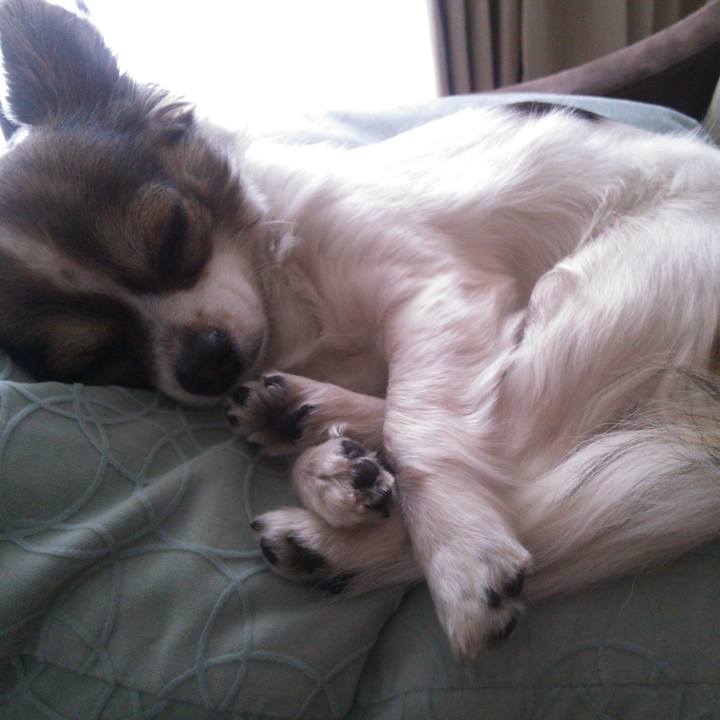 8a431131 eacf 4fad 9161 1a99708f550f