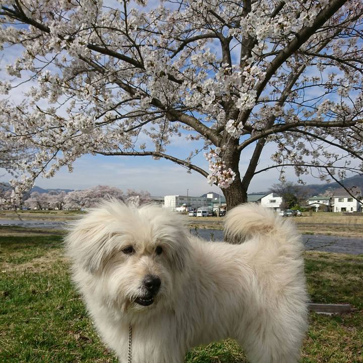 8a432d5b 07a5 4d75 9e06 6c8575ac39a6