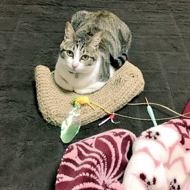 8a438123 fcfa 4a0d 8bee 6161407669b0