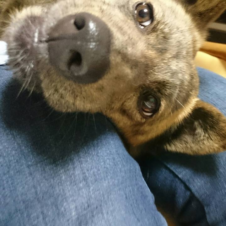 8a43a2d8 db80 4d50 8fd4 f8e92c8104b9