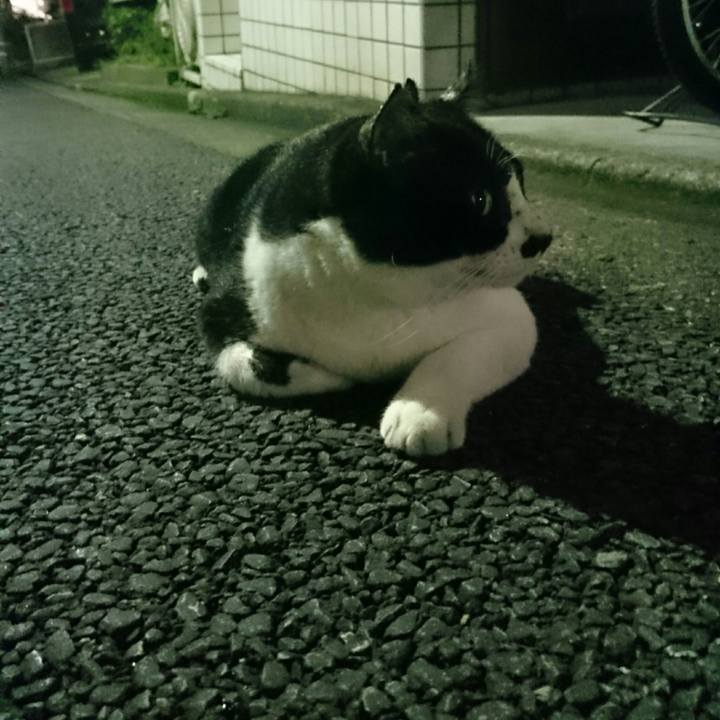 8a43e430 2de5 4823 a125 129c02c4aacb