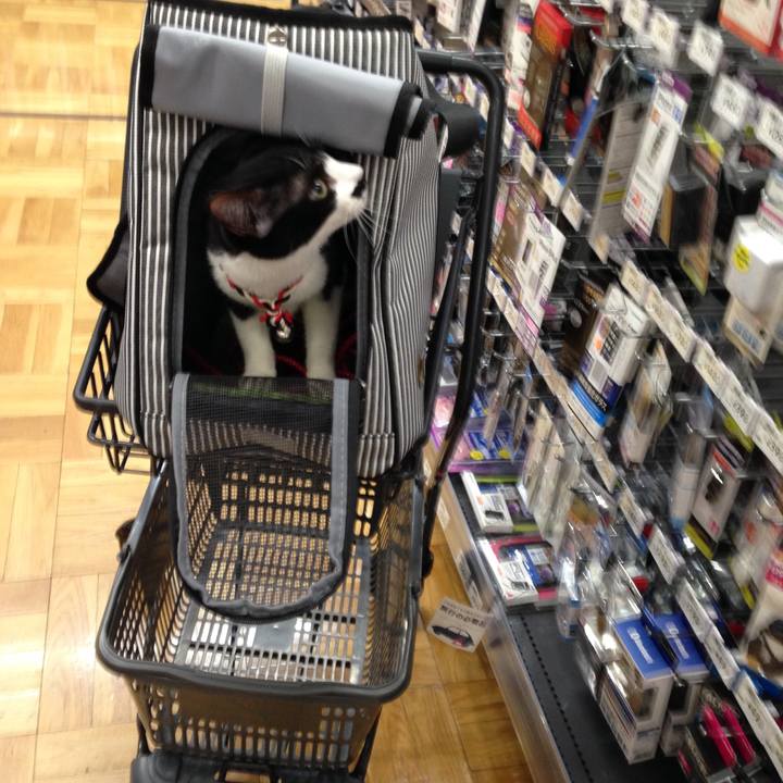 8a442cbf a18f 44c4 9807 2cf7bb34beec