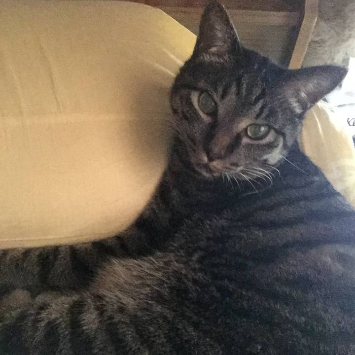 8a44ac26 8936 4527 a19a 489f01c0f940