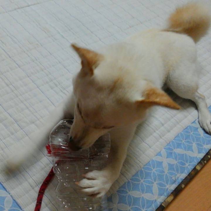 8a44e7e9 6a73 4b0d 8fec f39783deb2ed