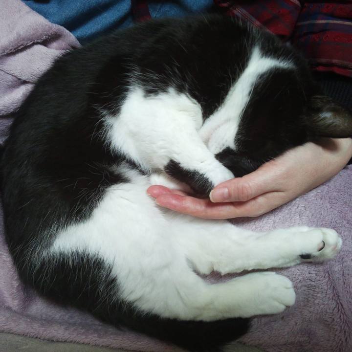 8a453025 feed 4d69 a972 04b0ac097884