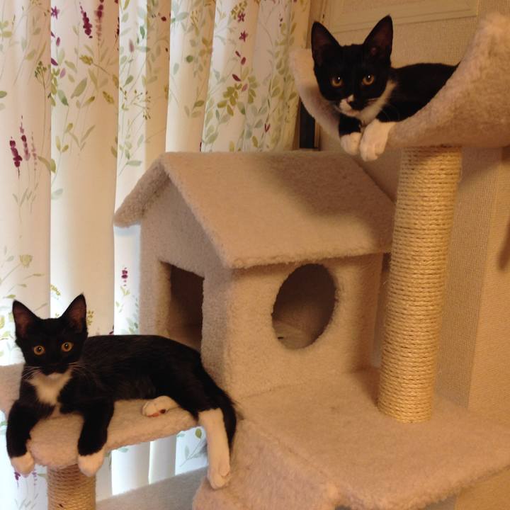 8a45e549 db90 47a7 91fc 60d9e18d88e5