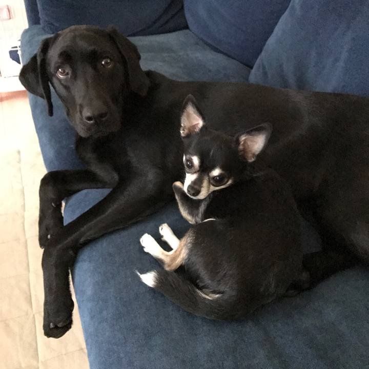 8a45f689 a121 42b4 b12a 78c56a910a23