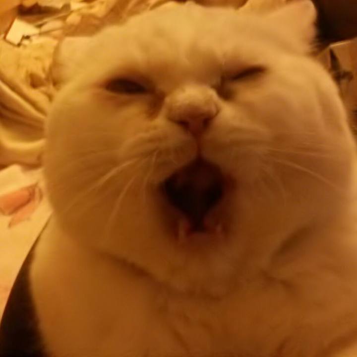 8a47197b 1780 40a6 8be5 6e73ccfbed9c