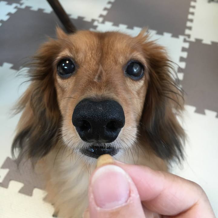 8a471d45 7281 44f0 841e 12964df9cd04