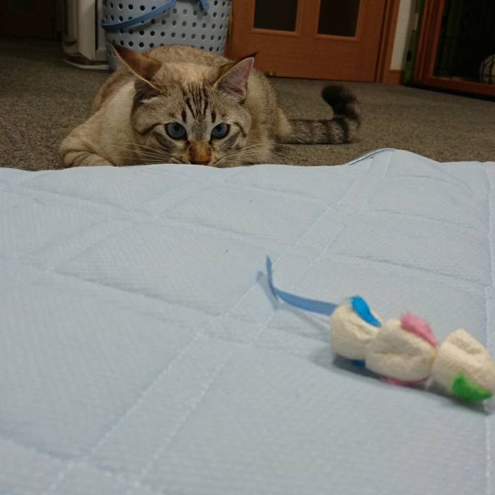 8a473591 e896 40f5 b37c 98ab3f51d5c2