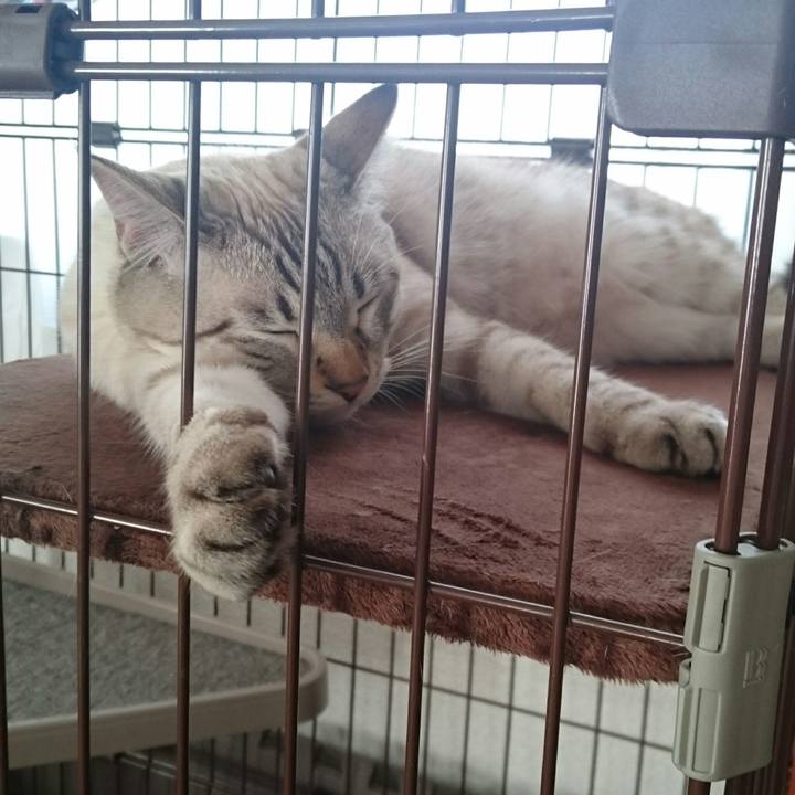 8a476f3f 0601 4c1a 94ee d74e96d9758c