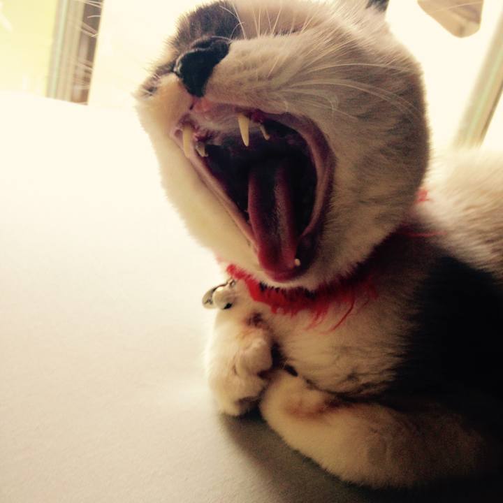 8a47ef9c 205e 4281 98cd 2013db1c59f6