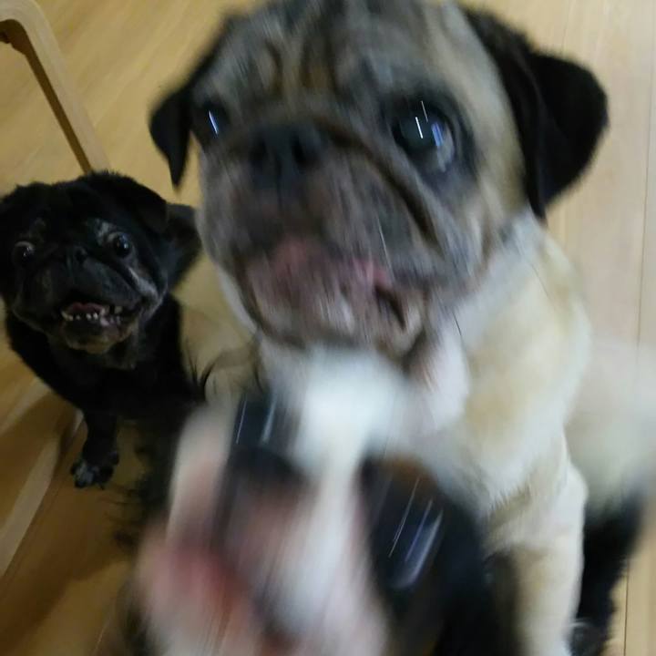 8a4a12c7 d130 4f12 a791 d270bdf061fa