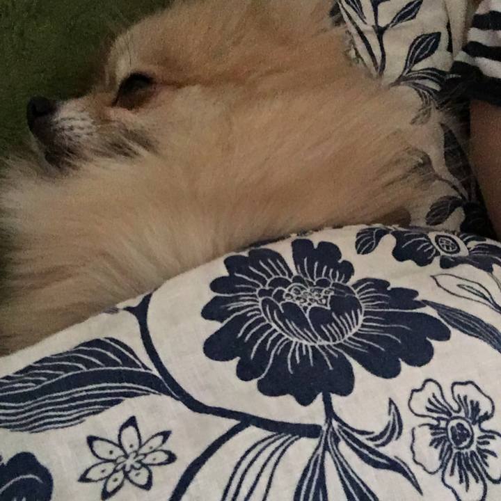 8a4a643b 9085 4e87 875a 9b29c9054205