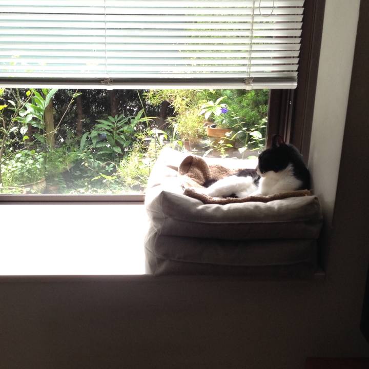 8a4a773f a978 4b85 b20e 11d14b8b3ec6