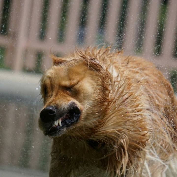 8a4ac5ea dc13 487c b2a6 c13153b38593