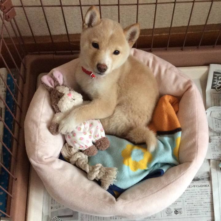 8a4b37cb 8dba 4da6 be59 15651add9dfb