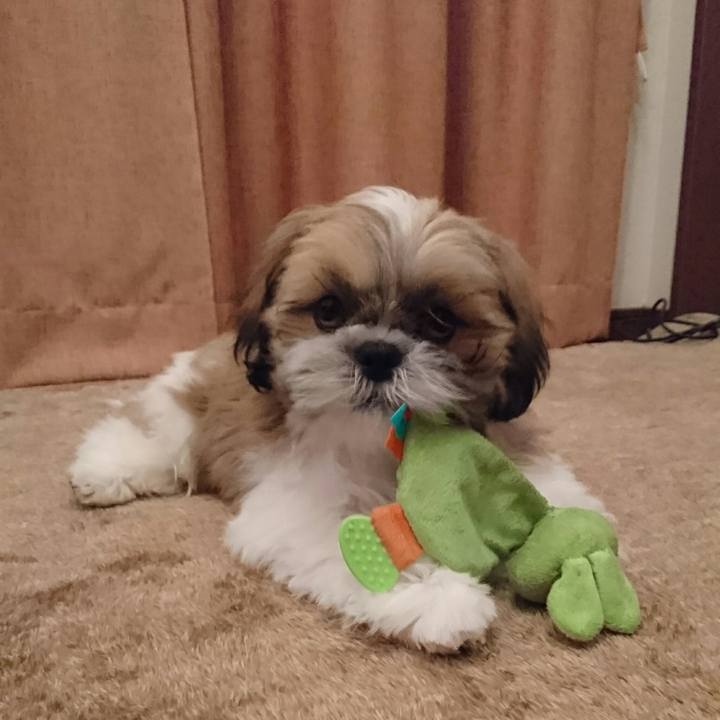 8a4b7db6 783a 47e7 a27d 777fc5e27157