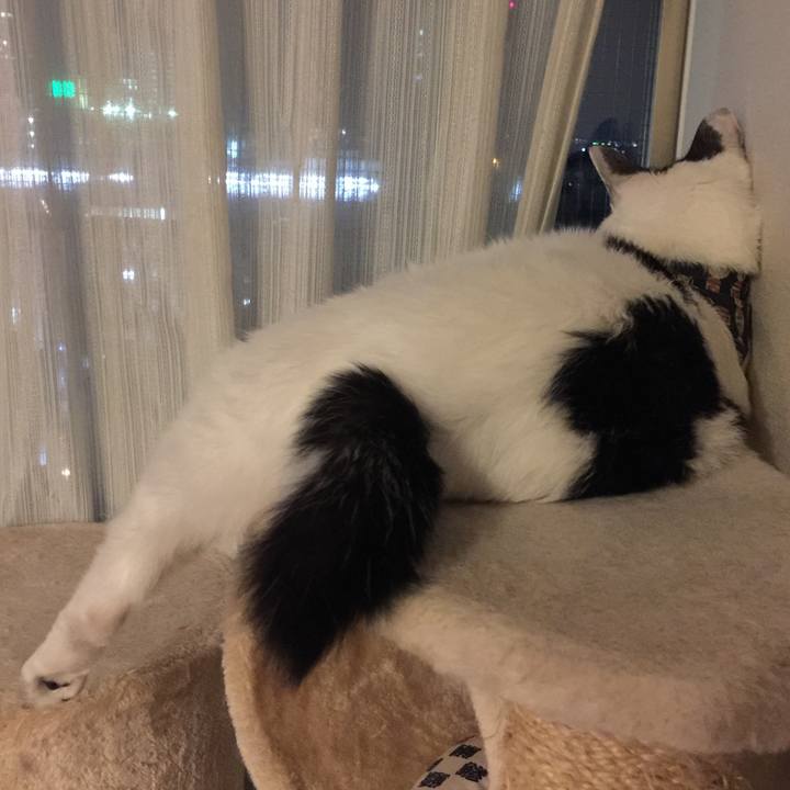 8a4c098a 9078 4b69 90b7 d8b0d6e0ba75