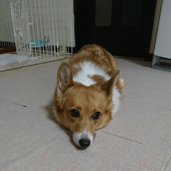 8a4c9b1a 0972 4201 9e4e 04f613c1a985