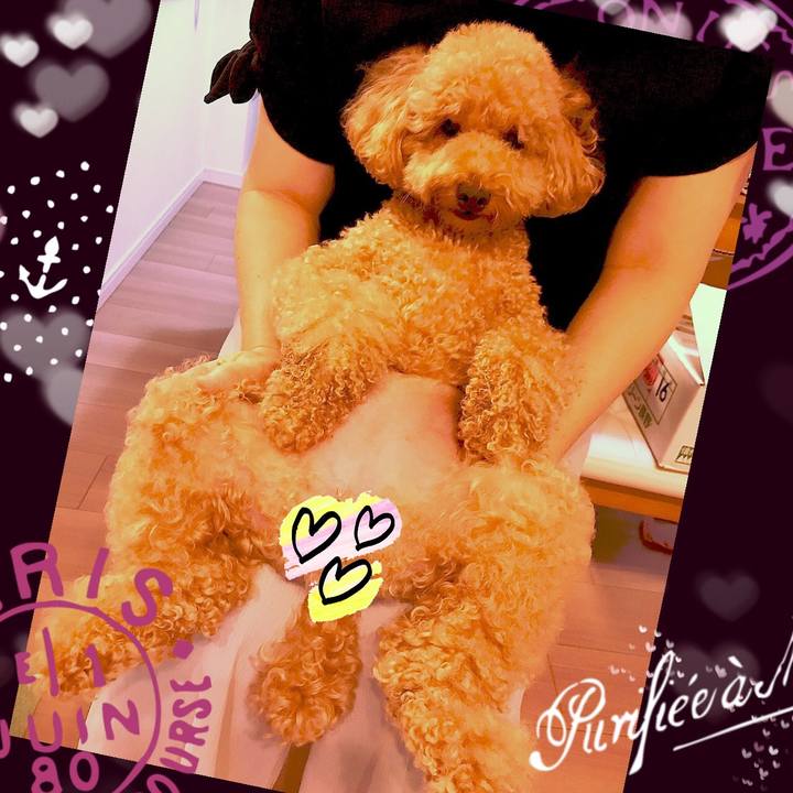 8a4cfa80 a131 4ec6 9d4e fa6dd9be099f