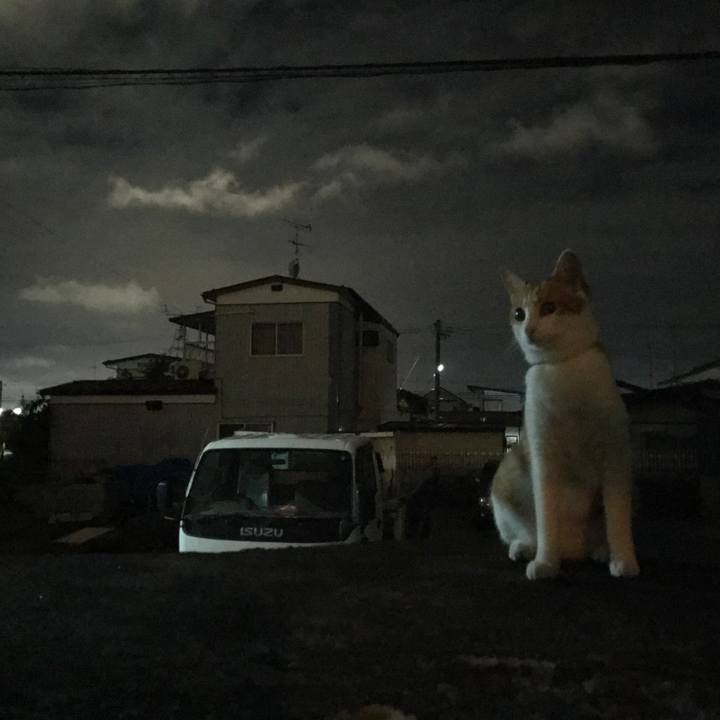 8a4d32a1 30c4 4d93 9674 33cd94b10cf4