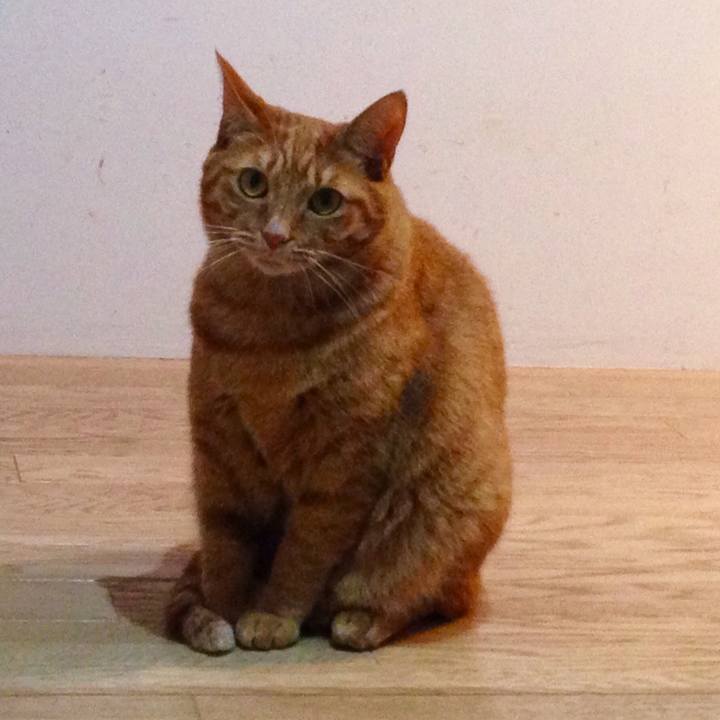 8a4df1dd e91a 4528 87f7 7f1a57dd1bea