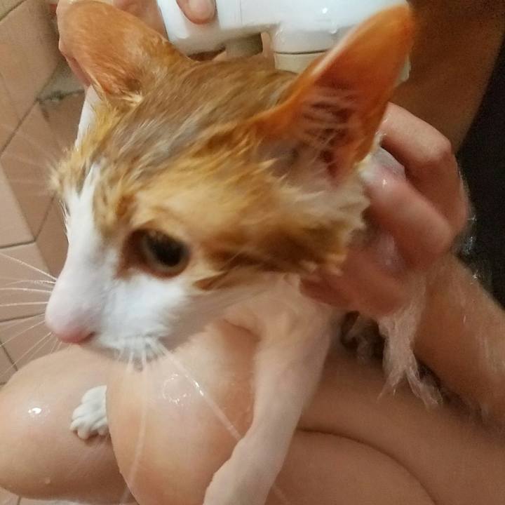 8a4e2cfd 06e6 4b6a b1c1 b1a9e5f82b93