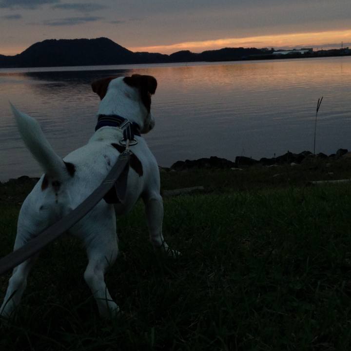 8a4e4b0c 0388 49da 8c95 8bc854780b4f