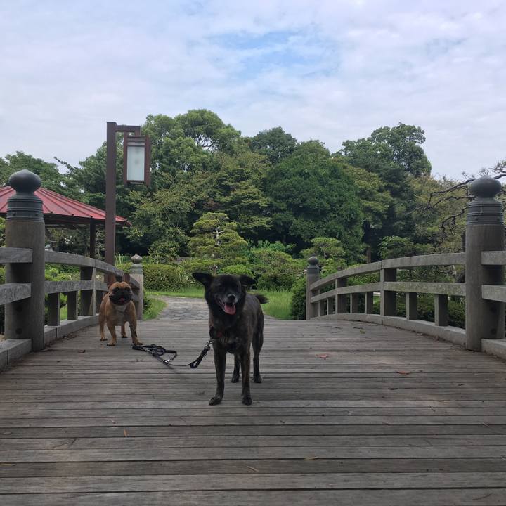 8a4e4da4 5d7c 46b0 91d1 d3ae61f47a8f