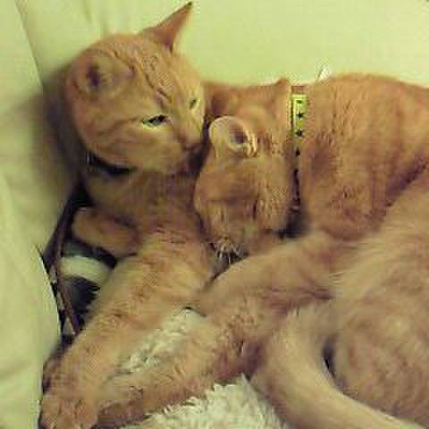 8a4ef998 f908 45e0 9b86 c0ca1fdcfc83