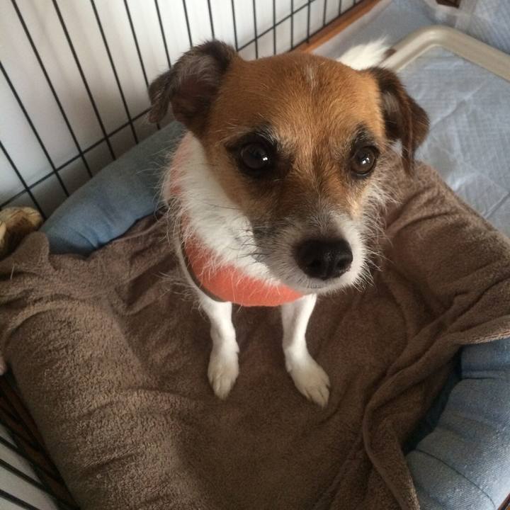 8a5009bf 8322 4890 8cb0 1265f201db3f