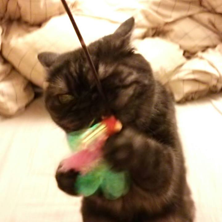 8a507c4b 03c7 411b 92e9 3df7e0b8ddb6