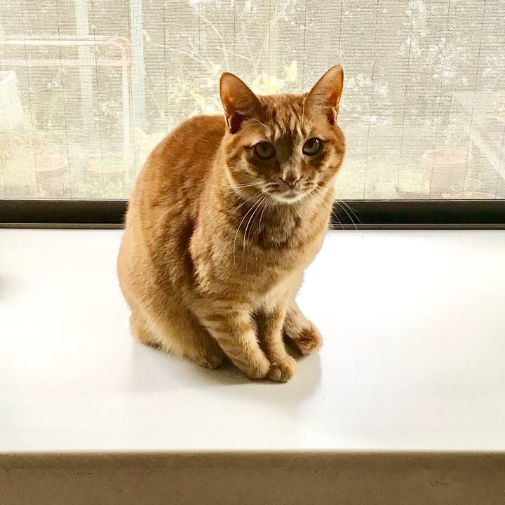 8a50adbe 0d46 4553 8ce8 5dc63b3623b8