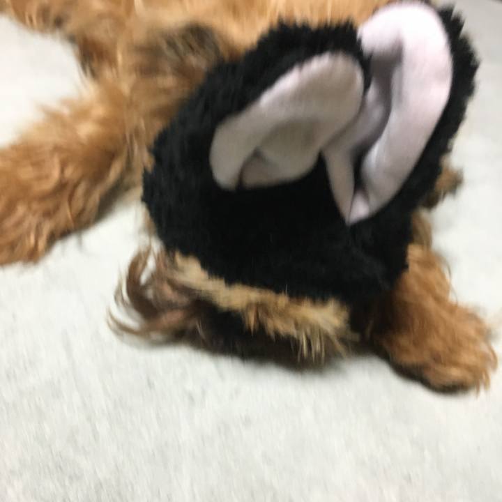 8a515b5e d0ae 45f2 9c80 712f46a08f57